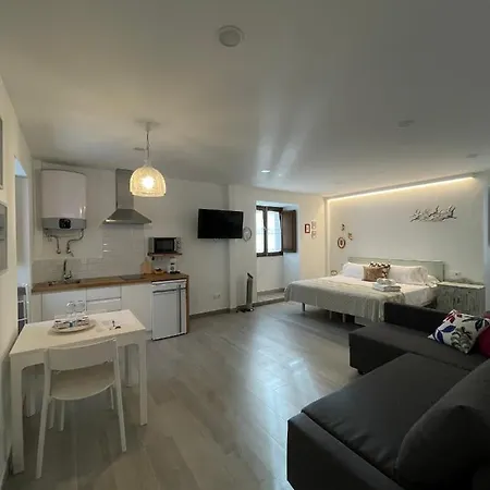 Apartamento Marujita Vilanova, Singular